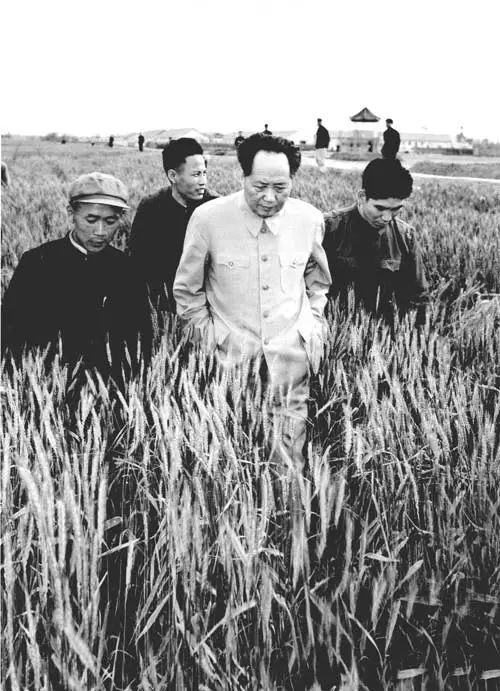微信图片_20230328145007.jpg