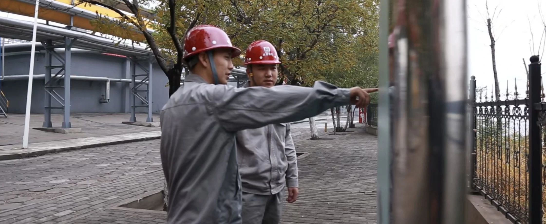 微信图片_20241115094719.jpg